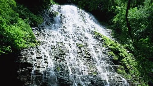 高效高端自动化